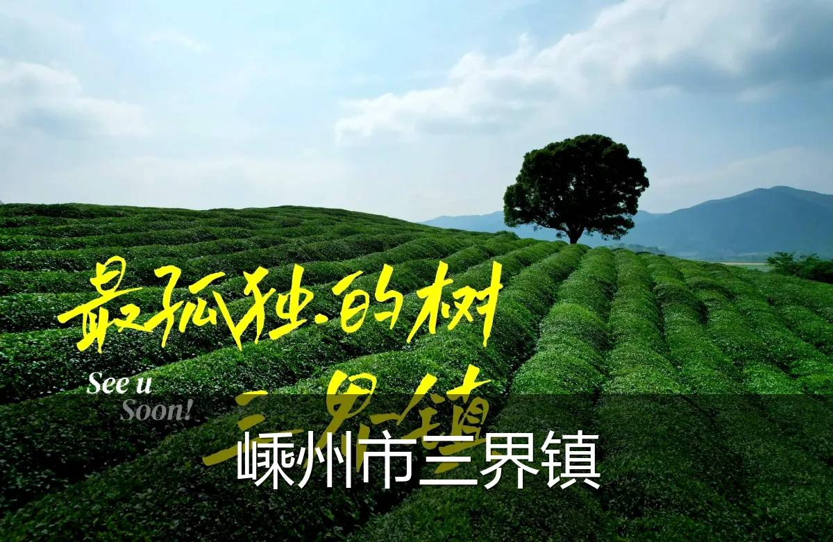 嵊州市三界镇