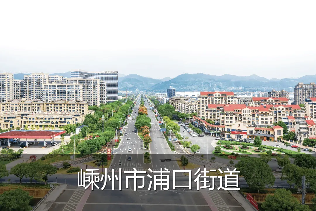 嵊州市浦口街道