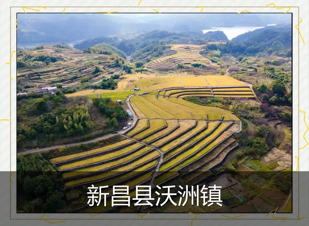 新昌县沃洲镇