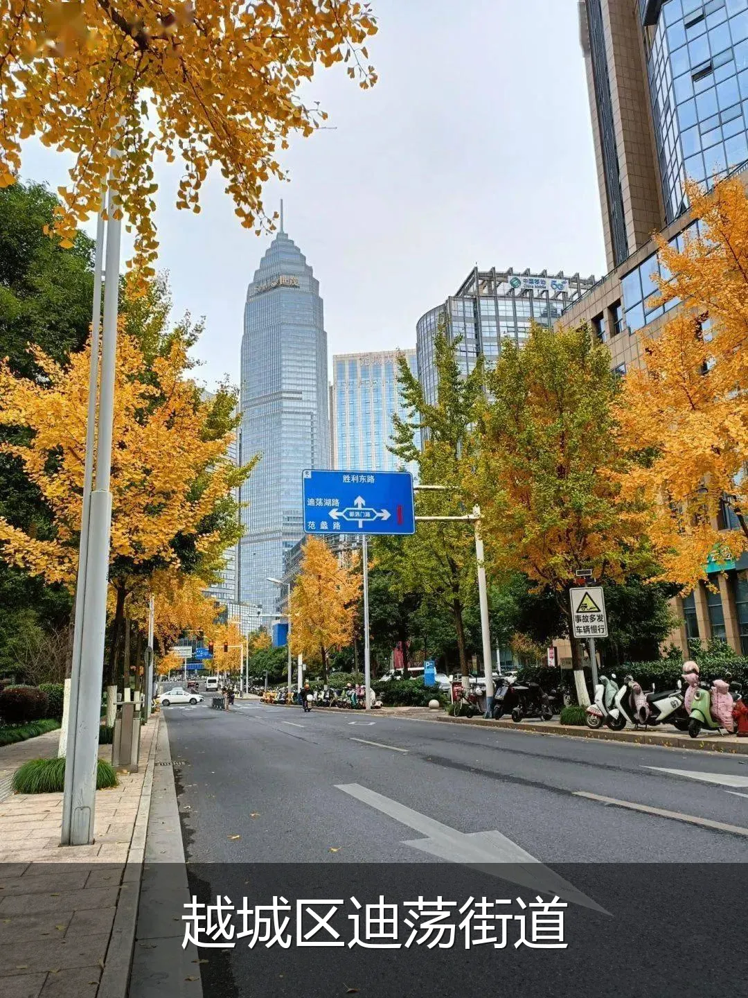 越城区迪荡街道